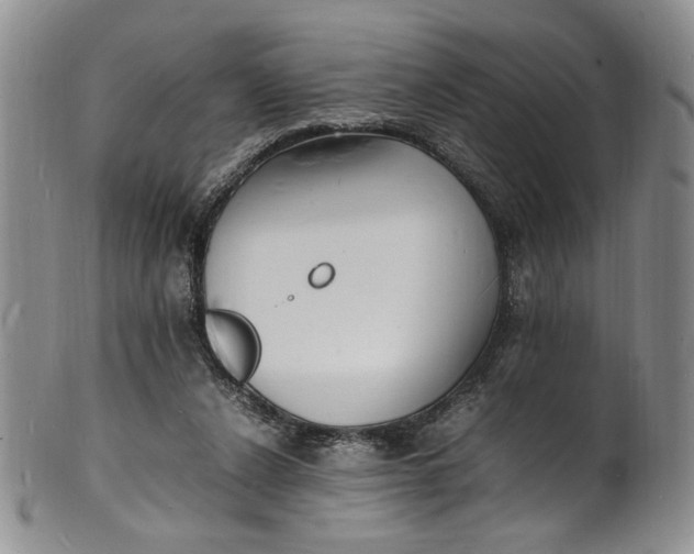 X0000100980256200807081250