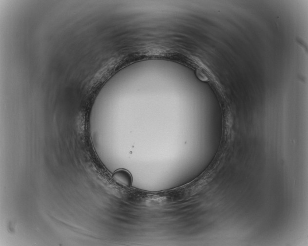 X0000100980257200807081250