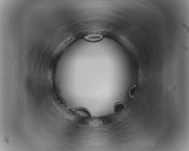 X0000100980258200807081250