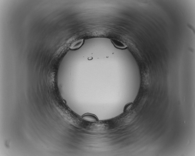 X0000100980260200807081250