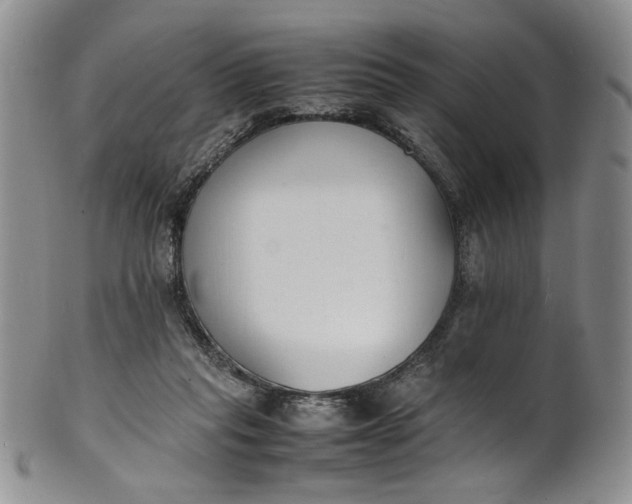 X0000100980261200807081250