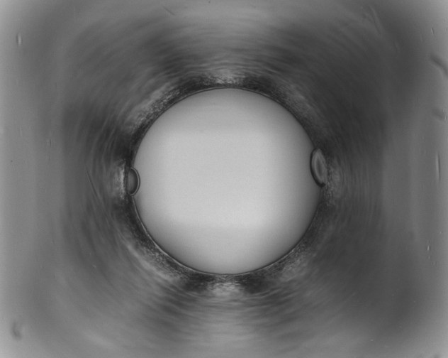 X0000100980262200807081250