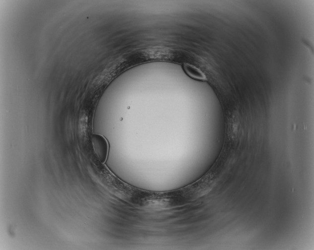 X0000100980263200807081250