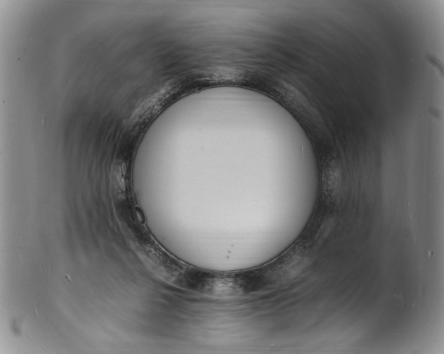 X0000100980264200807081250