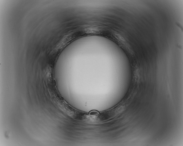 X0000100980265200807081250