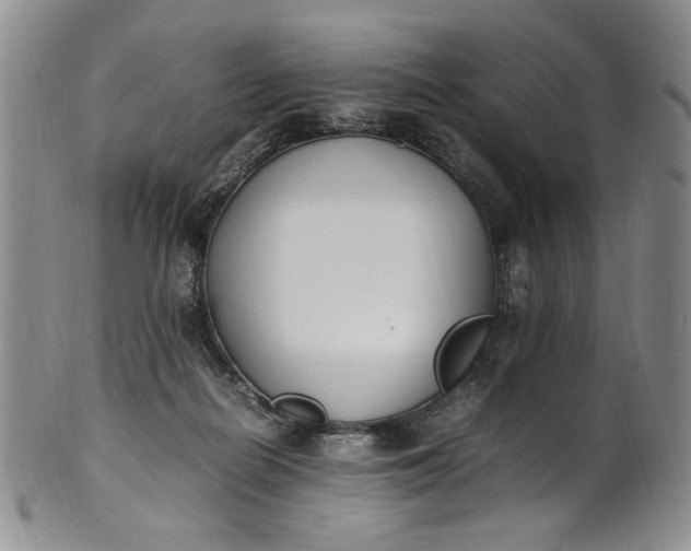 X0000100980266200807081251