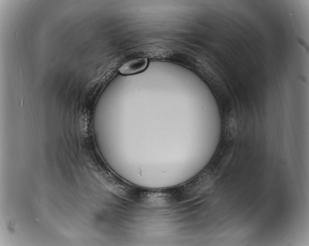 X0000100980268200807081251