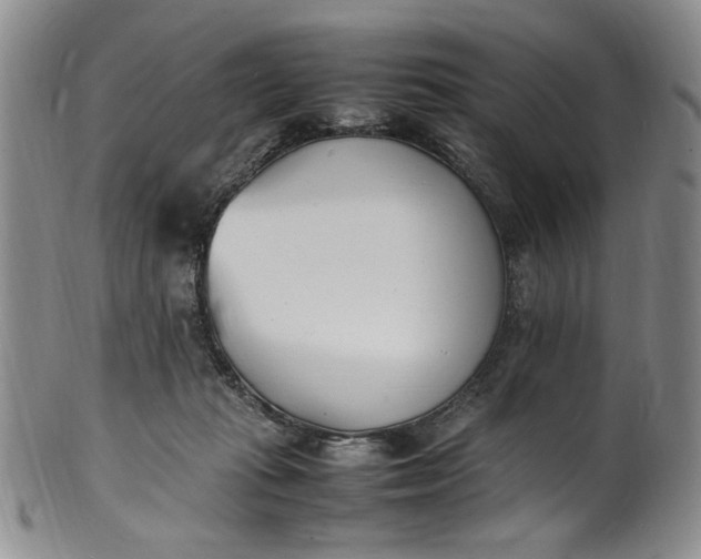 X0000100980269200807081251