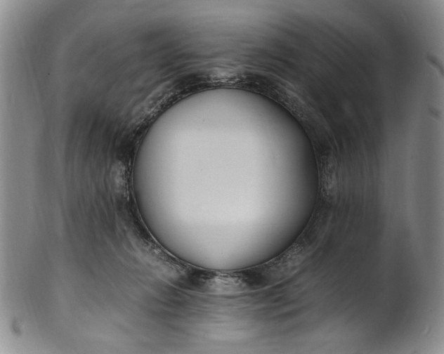 X0000100980270200807081251