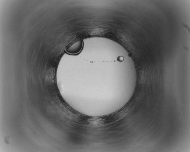 X0000100980273200807081251