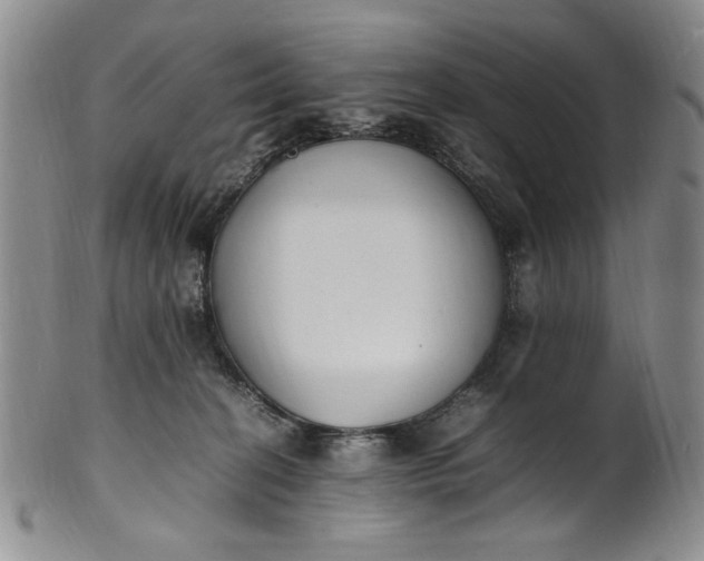 X0000100980274200807081251