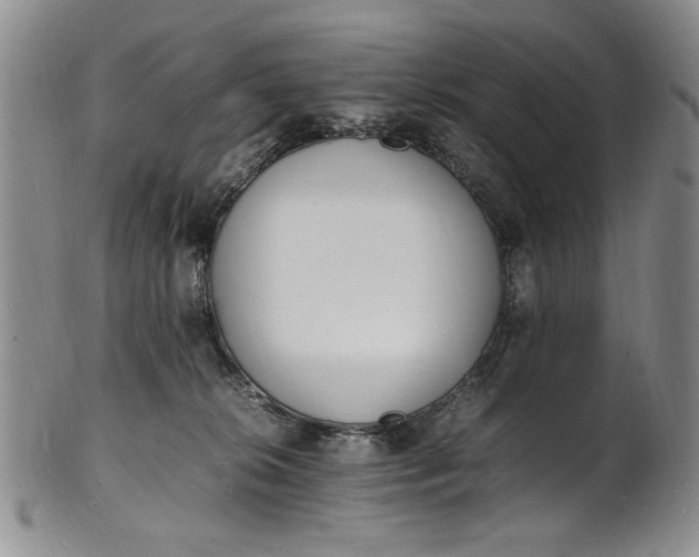 X0000100980276200807081251