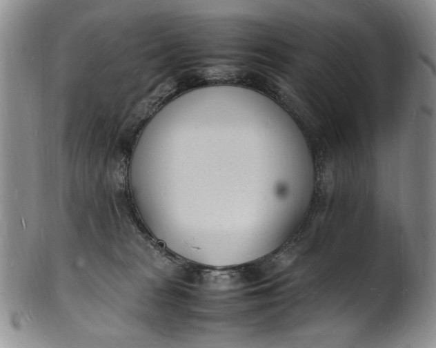 X0000100980277200807081251