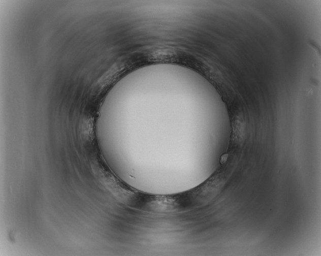 X0000100980278200807081251