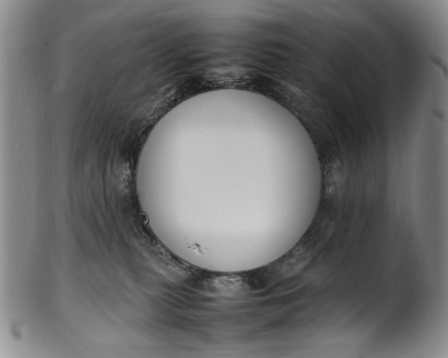 X0000100980279200807081251