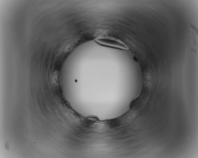 X0000100980280200807081251