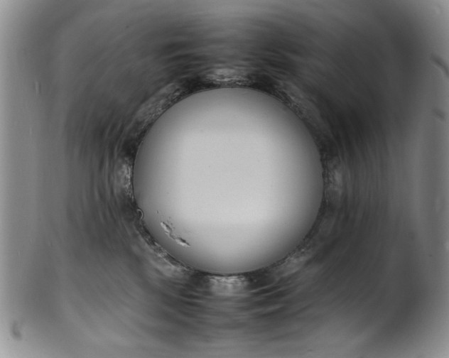 X0000100980281200807081251