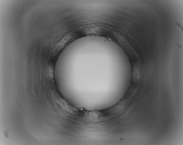 X0000100980282200807081251