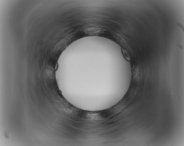 X0000100980283200807081251