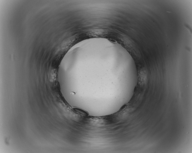 X0000100980284200807081251