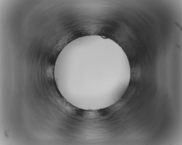 X0000100980286200807081251