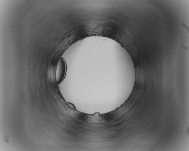 X0000100980287200807081251