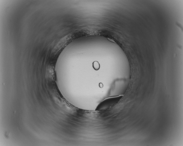 X0000100980288200807081251