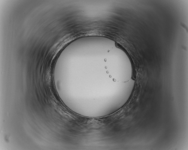 X0000100980290200807081250