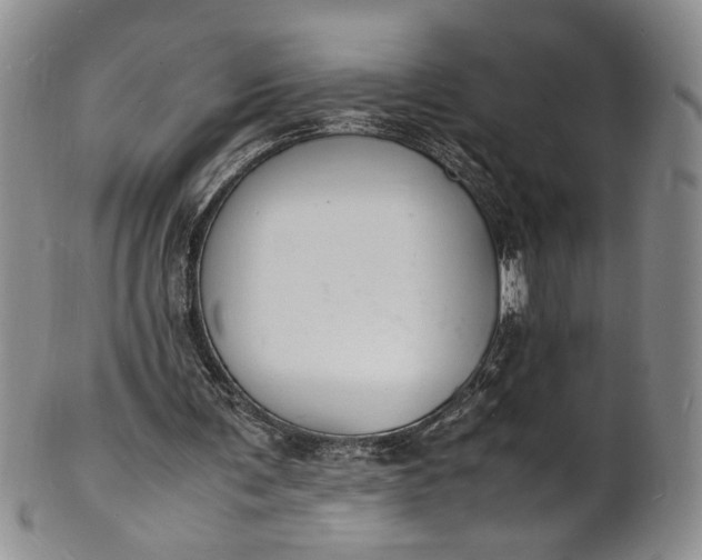 X0000100980291200807081250