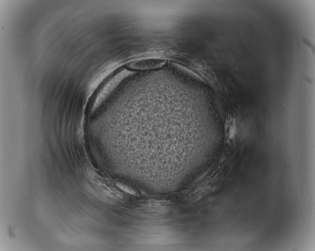 X0000100980292200807081250