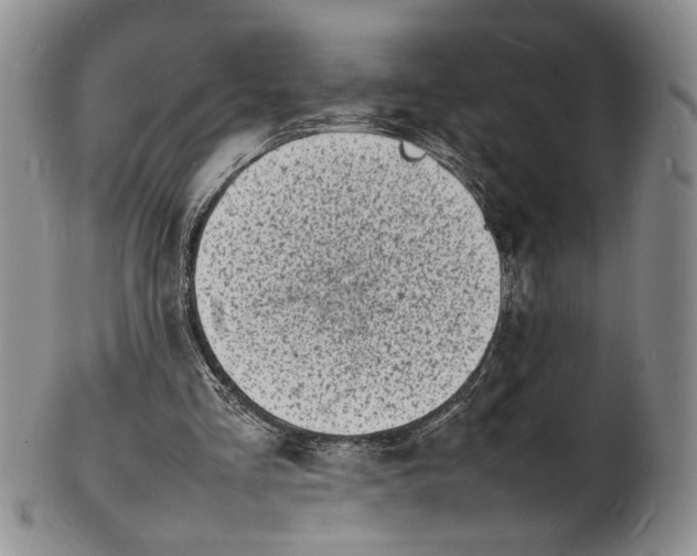 X0000100980293200807081250