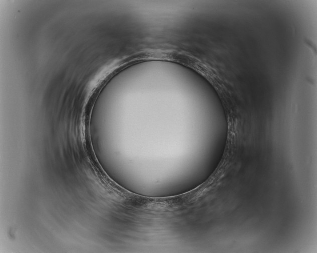 X0000100980294200807081250