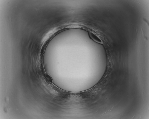 X0000100980296200807081250