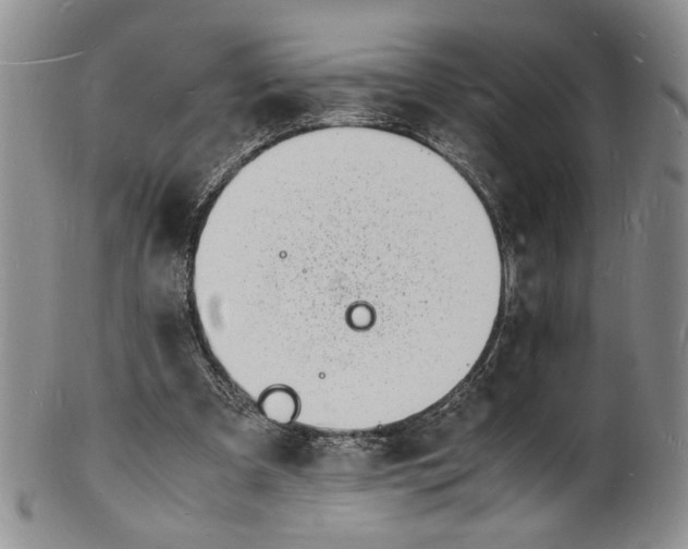 X0000100980297200807081250