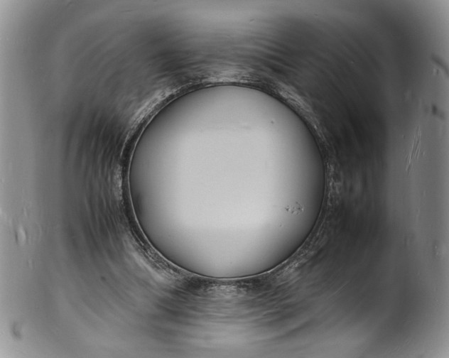 X0000100980298200807081250