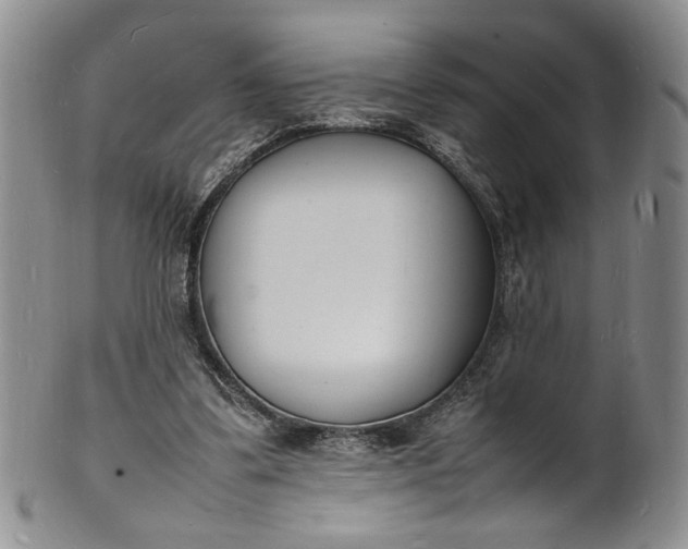 X0000100980299200807081250