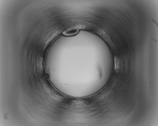 X0000100980300200807081250