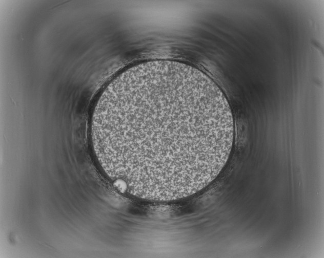 X0000100980301200807081250