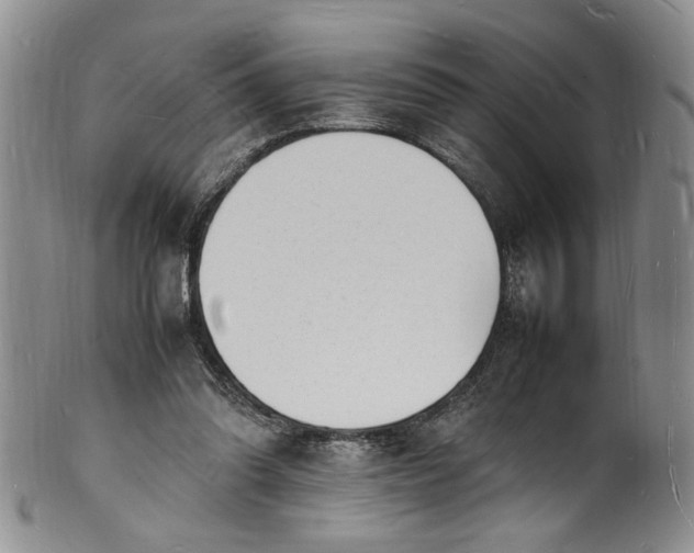 X0000100980302200807081250