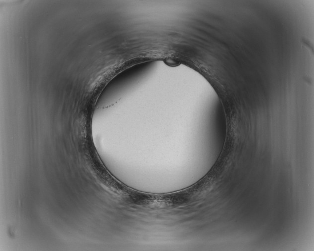 X0000100980303200807081250