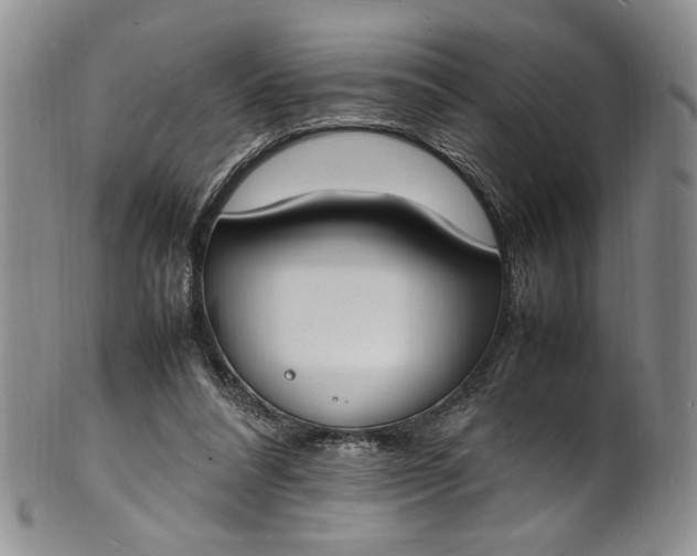 X0000100980304200807081250