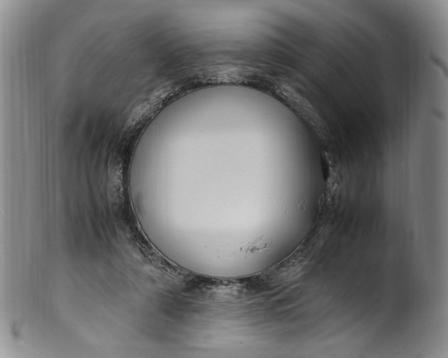 X0000100980306200807081250