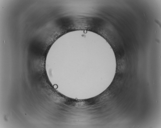 X0000100980309200807081250