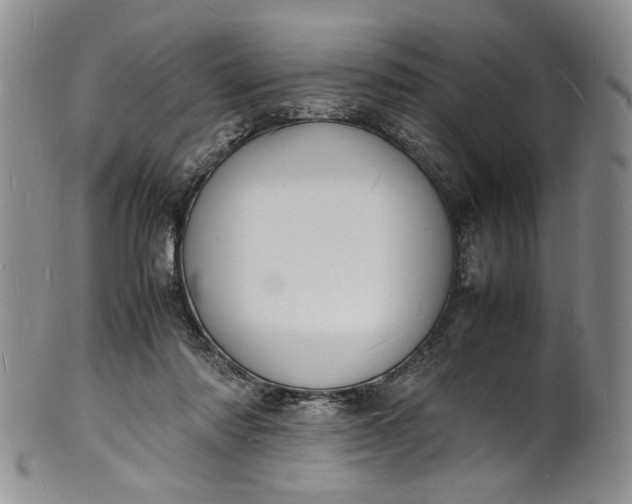 X0000100980310200807081250