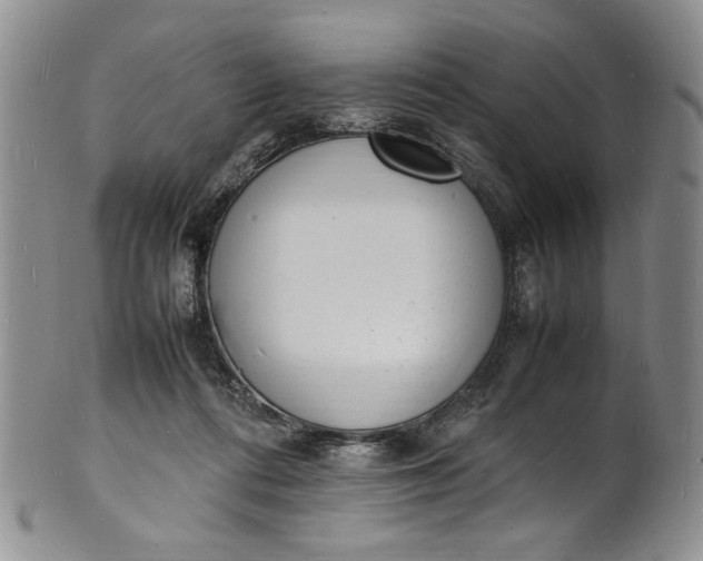 X0000100980312200807081250