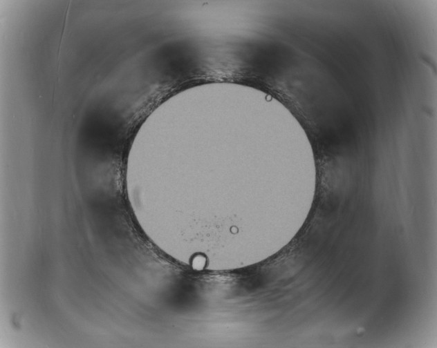 X0000100980313200807081250