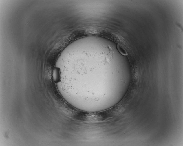 X0000100980315200807081250