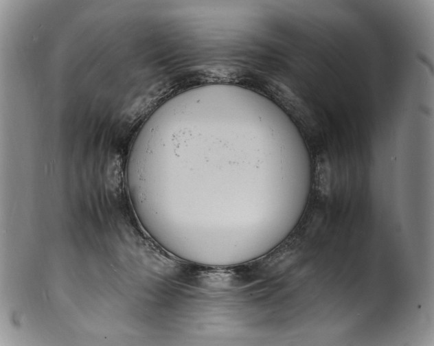 X0000100980318200807081250