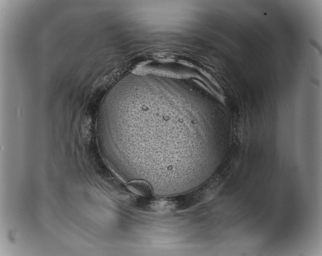 X0000100980319200807081250