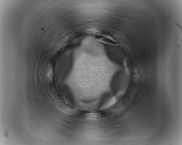 X0000100980320200807081250